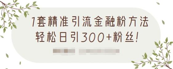 1套精准引流金融粉方法，轻松日引300 粉丝【视频课程】-知一项目网