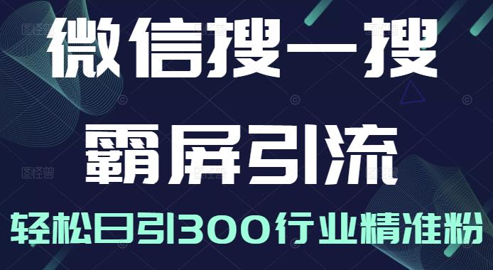 微信搜一搜霸屏引流课，打造被动精准引流系统，轻松日引300行业精准粉【无水印】-知一项目网