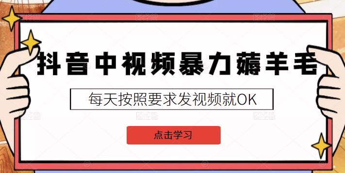 2022抖音中视频暴力薅羊毛白嫖项目：新号每天20块，老号几天几百块，可多号-知一项目网