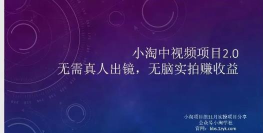 小淘项目组网赚永久会员，绝对是具有实操价值的，适合有项目做需要流程【持续更新】-知一项目网