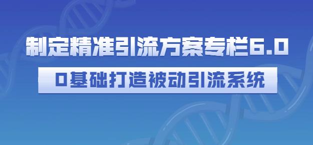 制定精准引流方案专栏6.0，0基础打造被动引流系统-知一项目网