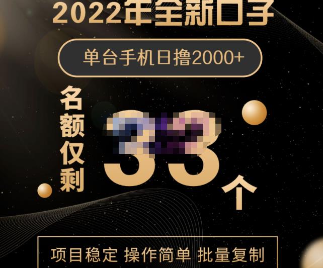 2022年全新口子，手机批量搬砖玩法，一部手机日撸2000-知一项目网