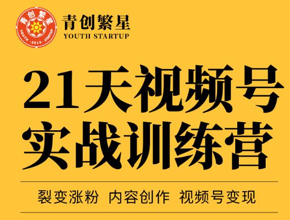 张萌21天视频号实战训练营，裂变涨粉、内容创作、视频号变现 价值298元-知一项目网