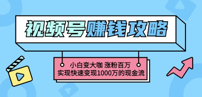 玩转微信视频号赚钱：小白变大咖涨粉百万实现快速变现1000万的现金流-知一项目网