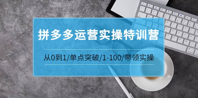 拼多多运营实操特训营：从0到1/单点突破/1-100/带领实操 价值2980元-知一项目网