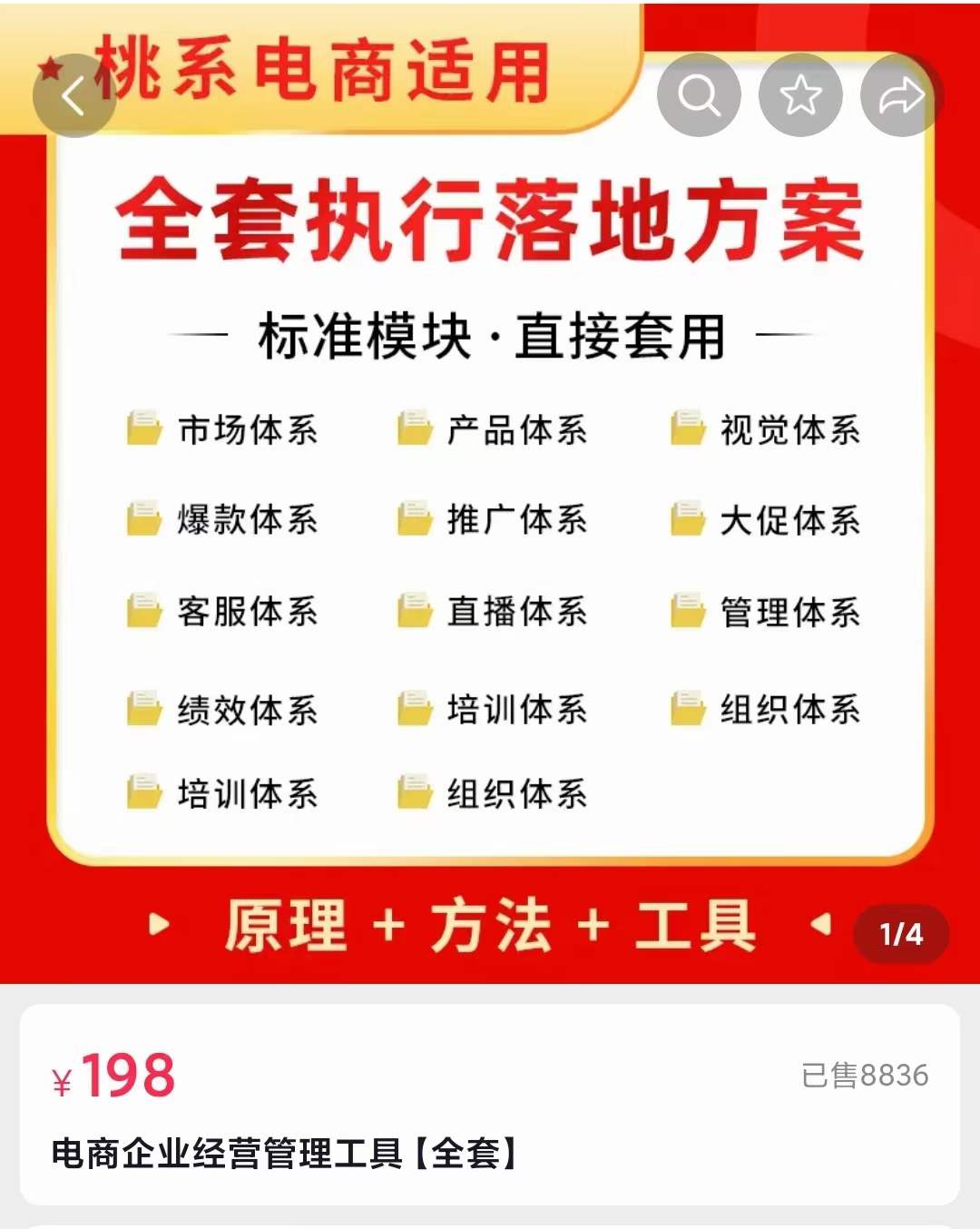 外面卖198·电商企业经营管理工具：全套执行落地方案 标准模块·直接套用-知一项目网