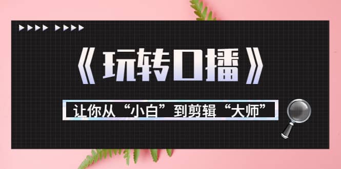 月营业额700万 大佬教您《玩转口播》让你从“小白”到剪辑“大师”-知一项目网