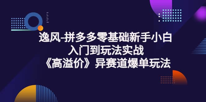 拼多多零基础新手小白入门到玩法实战《高溢价》异赛道爆单玩法实操课-知一项目网