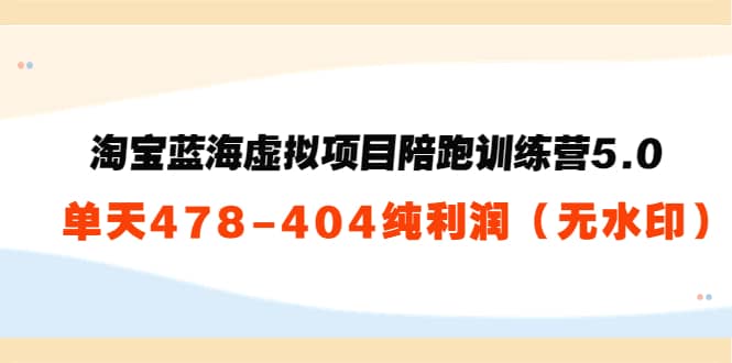 淘宝蓝海虚拟项目陪跑训练营5.0：单天478纯利润（无水印）-知一项目网