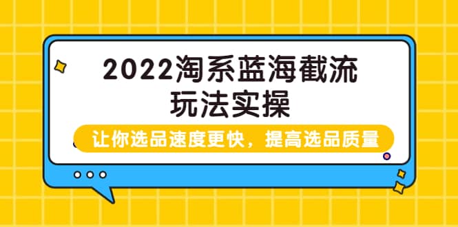 2022淘系蓝海截流玩法实操：让你选品速度更快，提高选品质量（价值599）-知一项目网