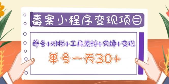 毒案小程序变现项目：养号 对标 工具素材 实操 变现-知一项目网