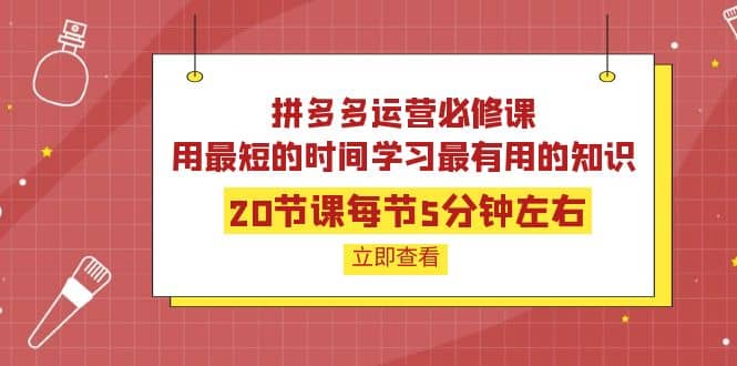 拼多多运营必修课：20节课每节5分钟左右，用最短的时间学习最有用的知识-知一项目网