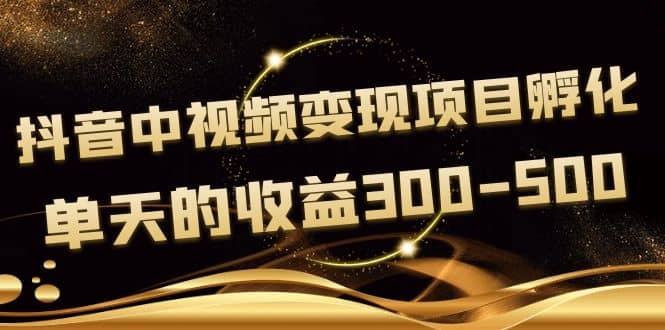 黄岛主《抖音中视频变现项目孵化》单天的收益300-500 操作简单粗暴-知一项目网