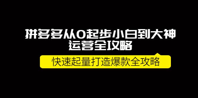 拼多多从0起步小白到大神运营全攻略-知一项目网