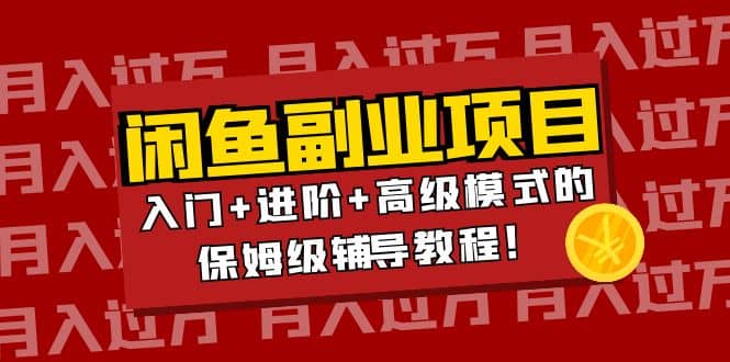 月入过万闲鱼副业项目：入门 进阶 高级模式的保姆级辅导教程-知一项目网