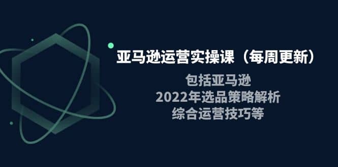 亚马逊运营实操课（每周更新）包括亚马逊2022选品策略解析，综合运营技巧等-知一项目网