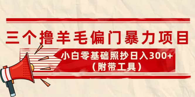 外面卖998的三个撸羊毛项目，小白零基础照抄（附带工具）-知一项目网