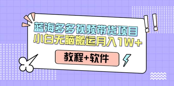 人人都能操作的蓝海多多视频带货项目 小白无脑搬运（教程 软件）-知一项目网