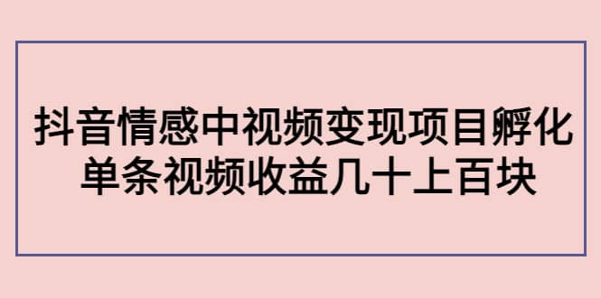 抖音情感中视频变现项目孵化-知一项目网