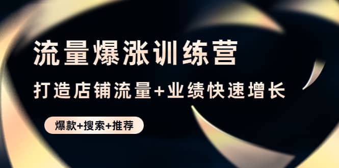 流量爆涨训练营：打造店铺流量 业绩快速增长 (爆款 搜索 推荐)-知一项目网