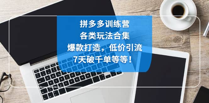 拼多多训练营：各玩法合集，爆款打造，低价引流，7天破千单等等-知一项目网