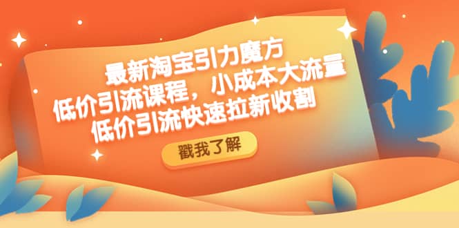 最新淘宝引力魔方低价引流实操：小成本大流量-知一项目网