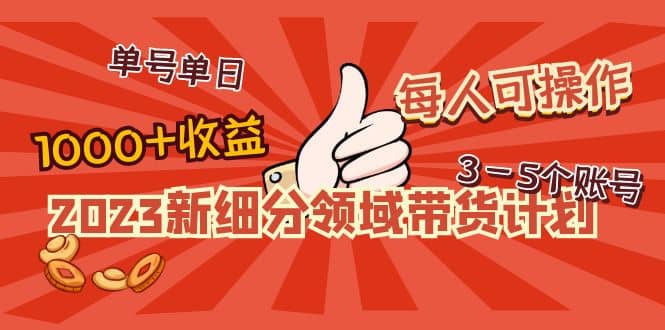 2023新细分领域带货计划：单号单日1000 收益不难，每人可操作3-5个账号-知一项目网