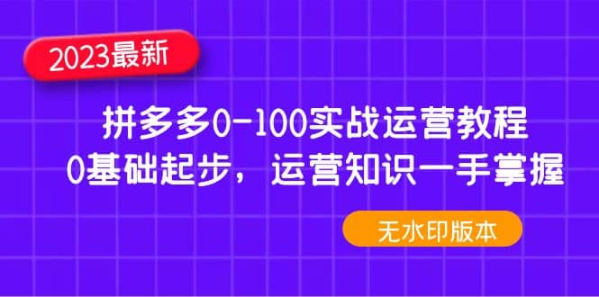 2023拼多多0-100实战运营教程，0基础起步，运营知识一手掌握（无水印）-知一项目网