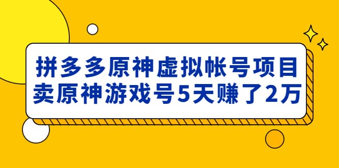 外面卖2980的拼多多原神虚拟帐号项目-知一项目网