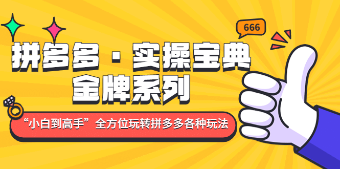 拼多多·实操宝典：金牌系列“小白到高手”带你全方位玩转拼多多各种玩法-知一项目网