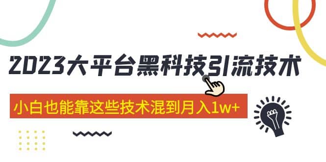 价值4899的2023大平台黑科技引流技术 29节课-知一项目网