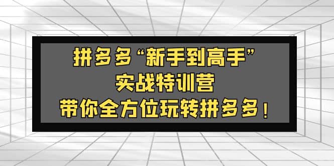 拼多多“新手到高手”实战特训营：带你全方位玩转拼多多-知一项目网