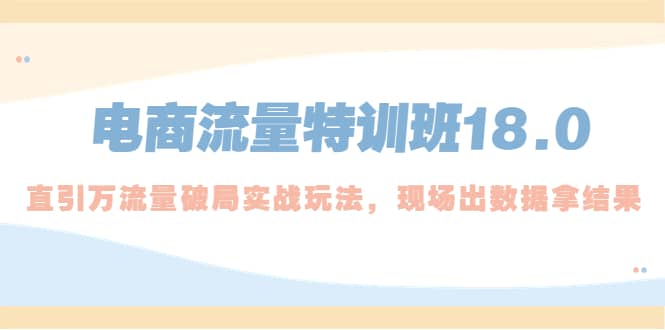 电商流量特训班18.0，直引万流量破局实操玩法，现场出数据拿结果-知一项目网