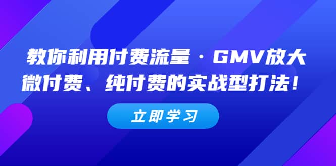 教你利用付费流量·GMV放大，微付费、纯付费的实战型打法-知一项目网