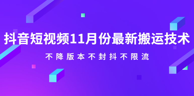 抖音短视频11月份最新搬运技术，不降版本不封抖不限流！【视频课程】-知一项目网