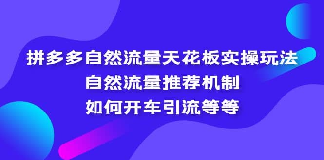 拼多多自然流量天花板实操玩法：自然流量推荐机制，如何开车引流等等-知一项目网