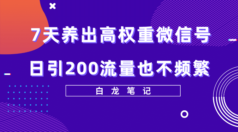 7天养出高权重微信号，日引200流量也不频繁，方法价值3680元-知一项目网