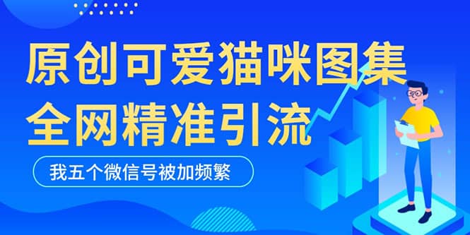 黑科技纯原创可爱猫咪图片，全网精准引流，实操5个VX号被加频繁-知一项目网