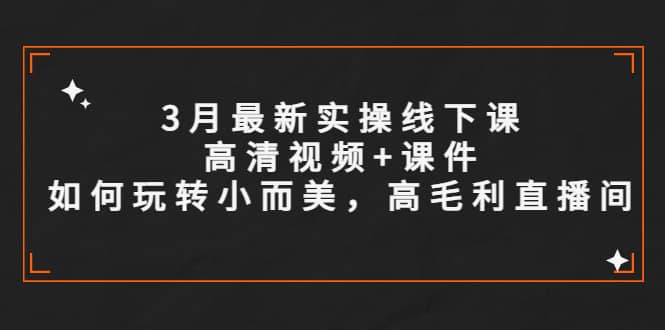 3月最新实操线下课高清视频 课件，如何玩转小而美，高毛利直播间-知一项目网