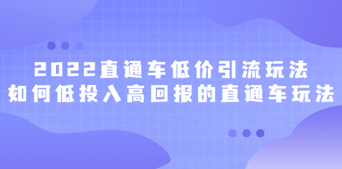 2022直通车低价引流玩法，教大家如何低投入高回报的直通车玩法-知一项目网