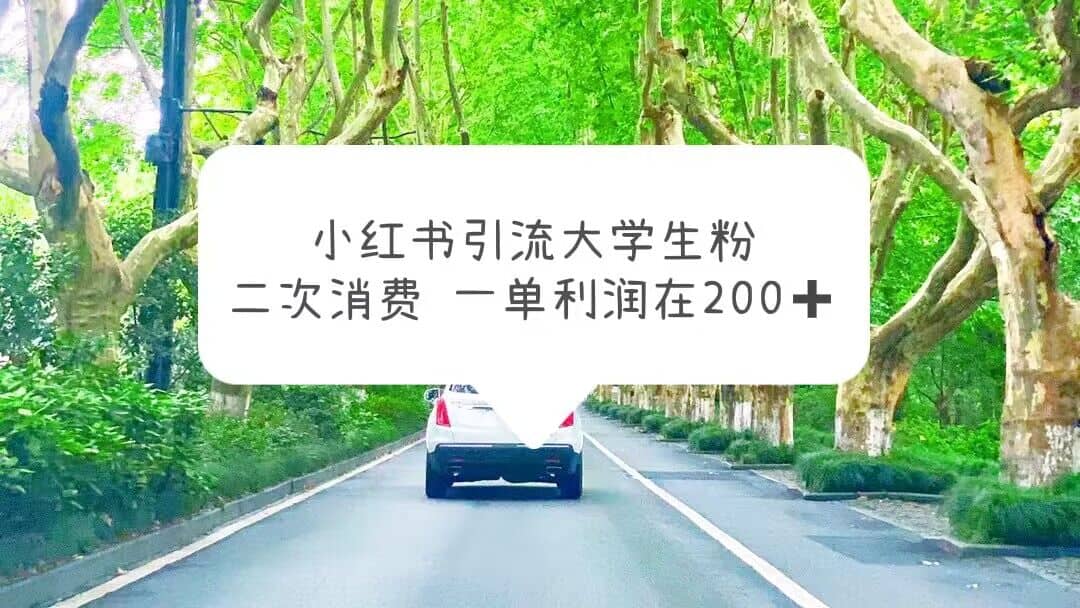 小红书引流大学生粉，变现项目，一单利润在200 （教程 资源）-知一项目网