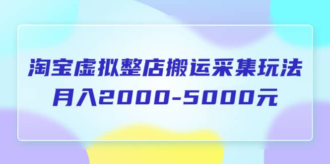 淘宝虚拟整店搬运采集玩法分享课：月入2000-5000元（5节课）-知一项目网