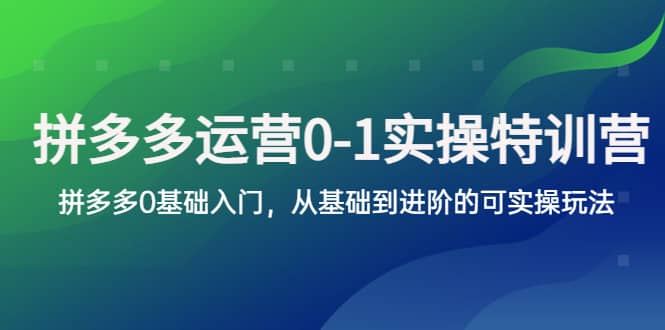 拼多多-运营0-1实操训练营，拼多多0基础入门，从基础到进阶的可实操玩法-知一项目网