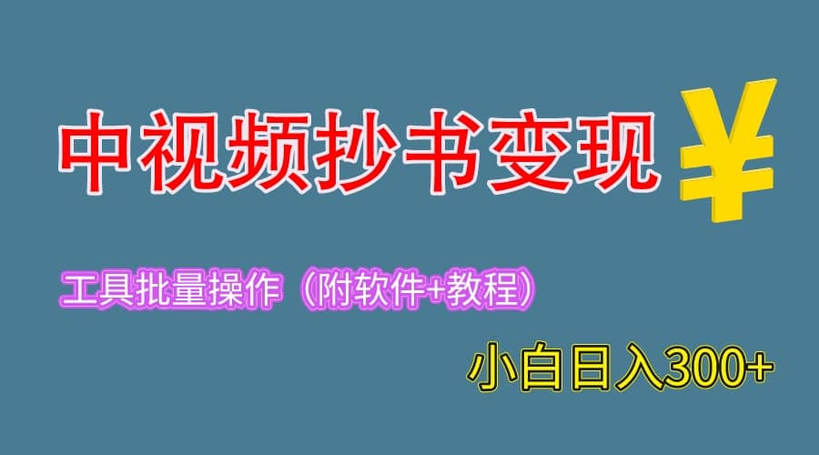 2023中视频抄书变现（附工具 教程），一天300 ，特别适合新手操作的副业-知一项目网