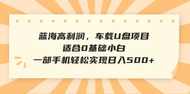 蓝海高利润，车载U盘项目，适合0基础小白，一部手机轻松实现日入500-知一项目网