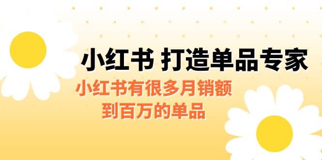 某公众号付费文章《小红书 打造单品专家》小红书有很多月销额到百万的单品-知一项目网