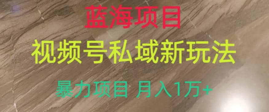 蓝海项目，视频号私域新玩法，暴力项目月入1万 【揭秘】-知一项目网