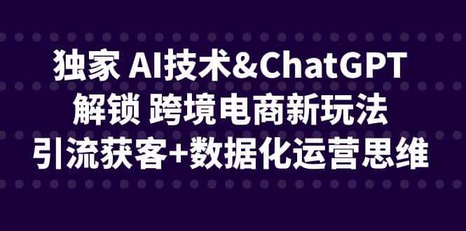 独家 AI技术ChatGPT解锁 跨境电商新玩法，引流获客 数据化运营思维-知一项目网