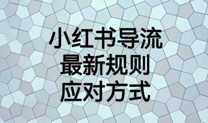 小红书导流最新规则应对方式【揭秘】-知一项目网