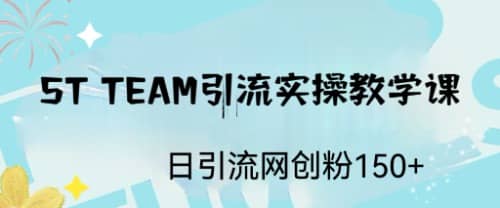 ST TEAM引流实操课，日引流网创粉100-知一项目网